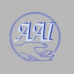 Make-It-Your-Choice-Italian-Logo